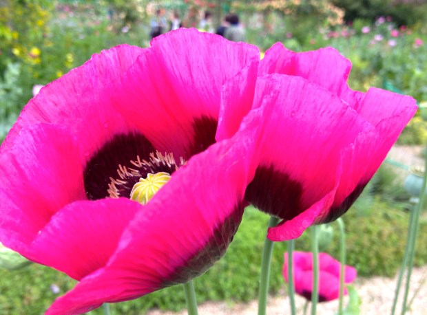 Giverny, Claude Monet's Gardens