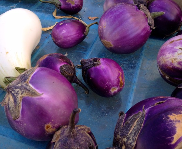 Aubergine, Provence