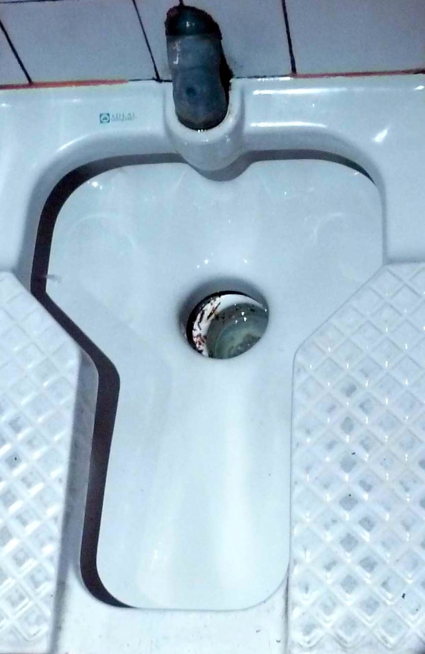 Turkish, or as Brits call them, French toilet