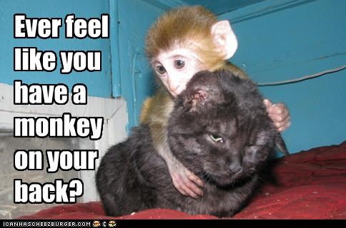 source: cheeeseburger.com