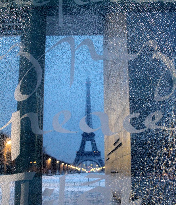 copyright: nancy benioff 2013