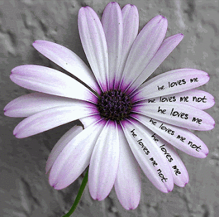 source: satinandlace.blogspot.frl