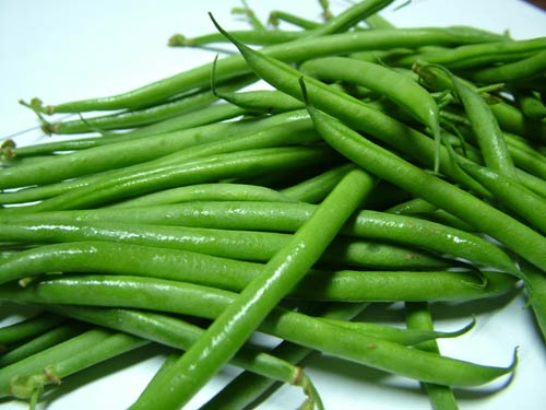French-beans-Paris