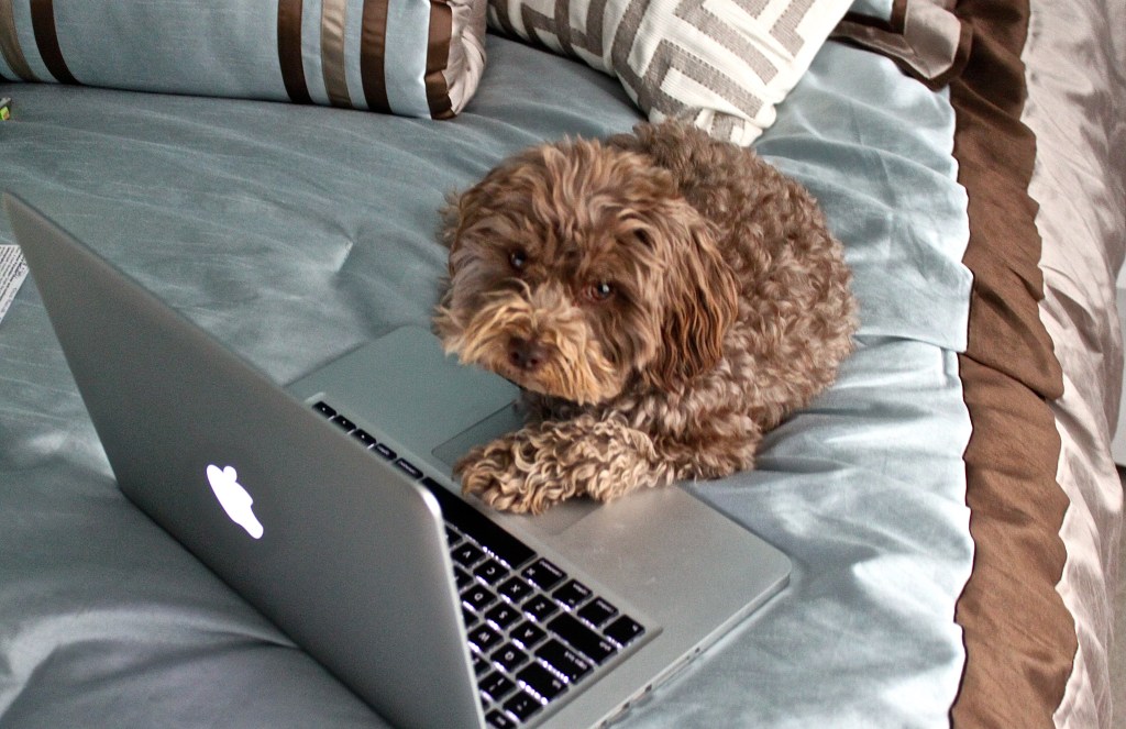 …back to work for Taz in Paris...