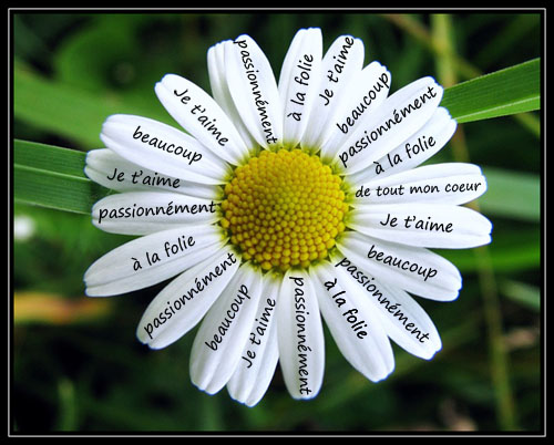 source: profdefrances.blogspot.com 