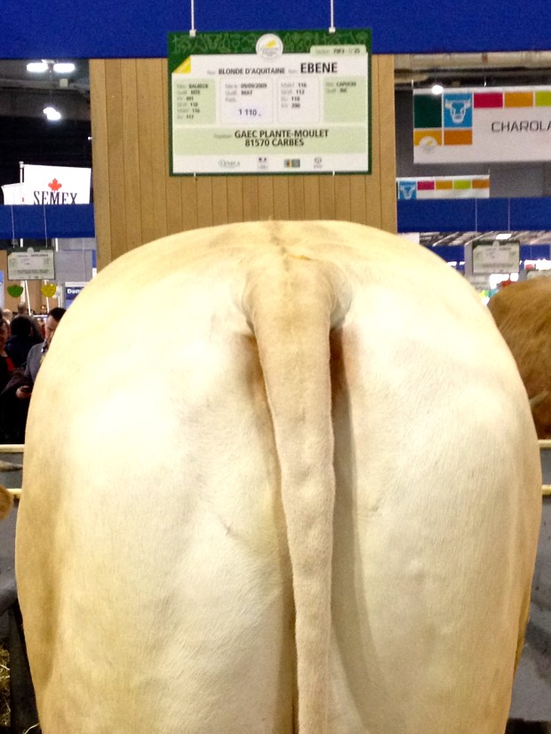 salon-l'agriculture-paris.jpg