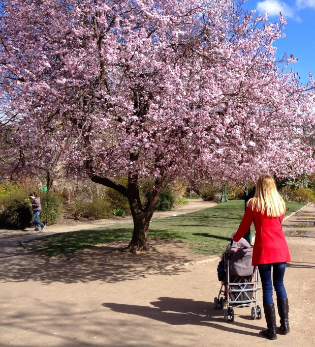 Springtime-Paris4.jpg