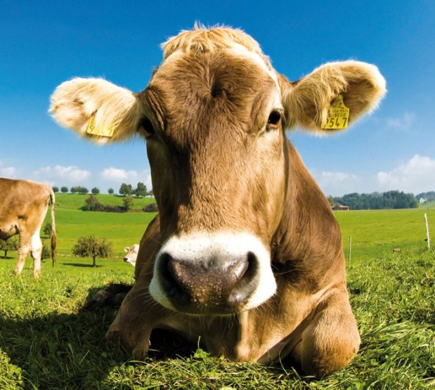 salon-agriculture-1.jpg
