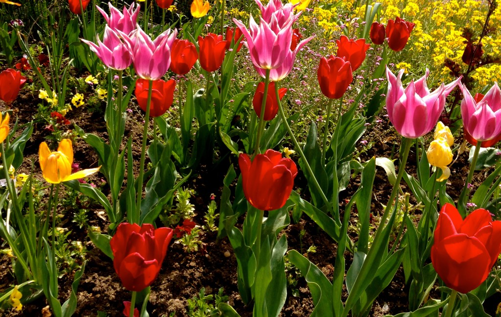 The award winning flowering city of Créteil.