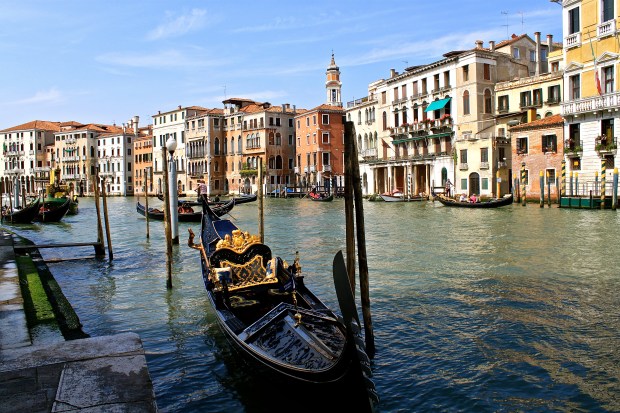 venice_2014.jpg
