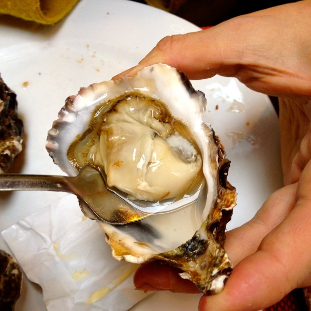 oysters_paris_france5.jpg