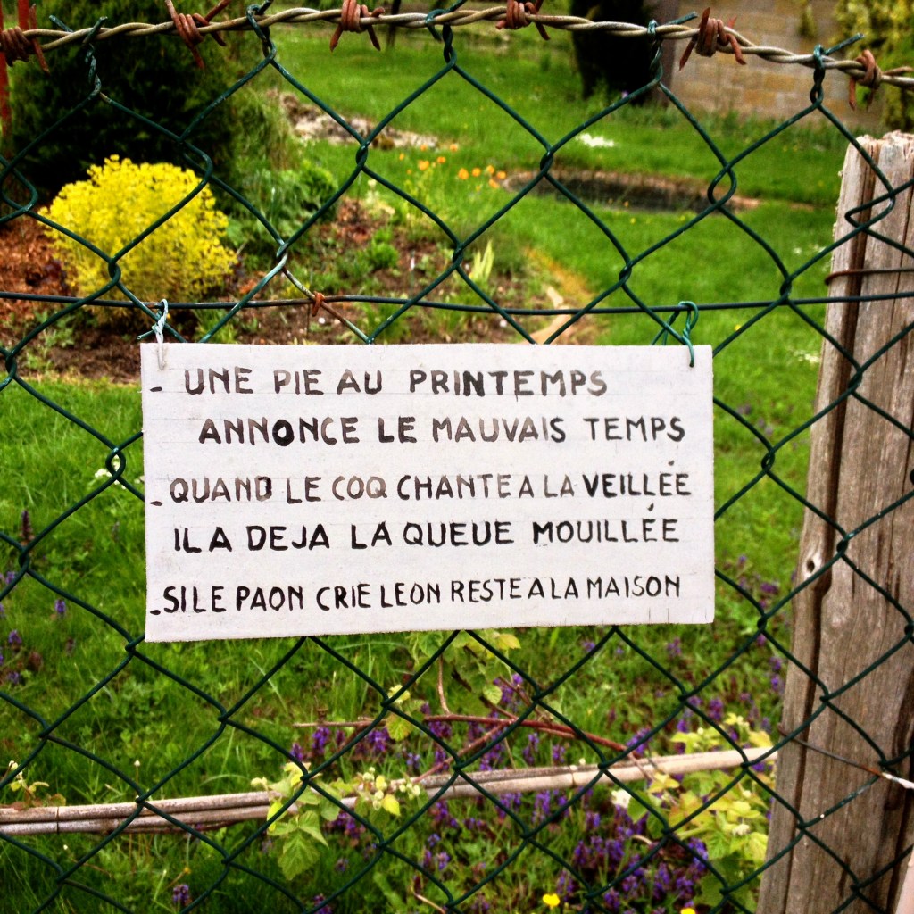 a magpie in the spring signifies dreadful weather...when the rooster crows at night watch, his tail is already wet...if the peacock screams, we stay at home...