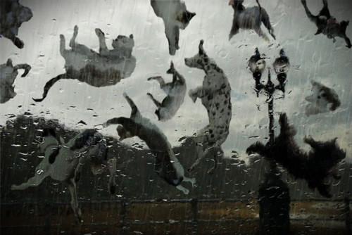 source: www.j103.com