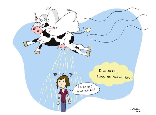 source: http://cidogribouille.over-blog.com