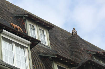 deauville_cats_rooftops.jpg