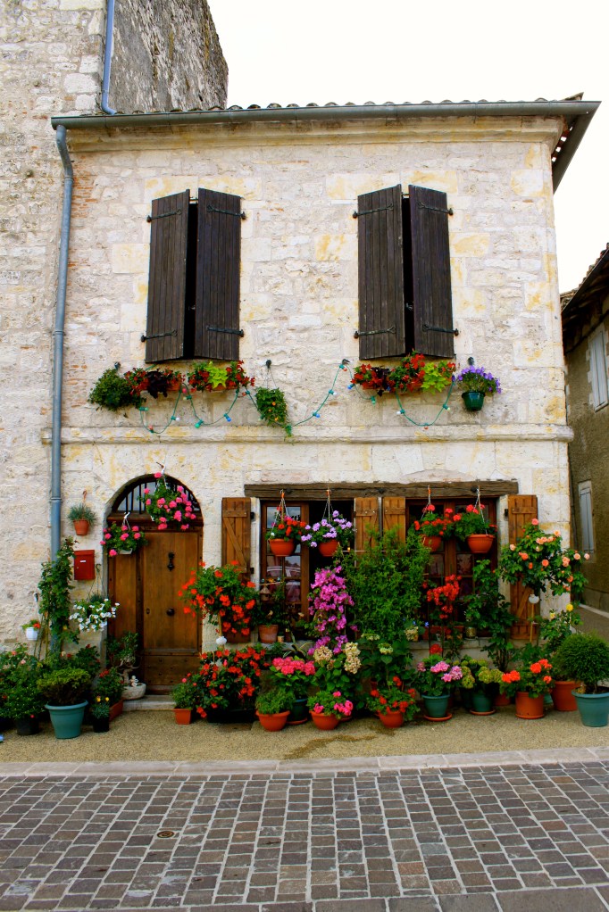 provence_france8.jpg