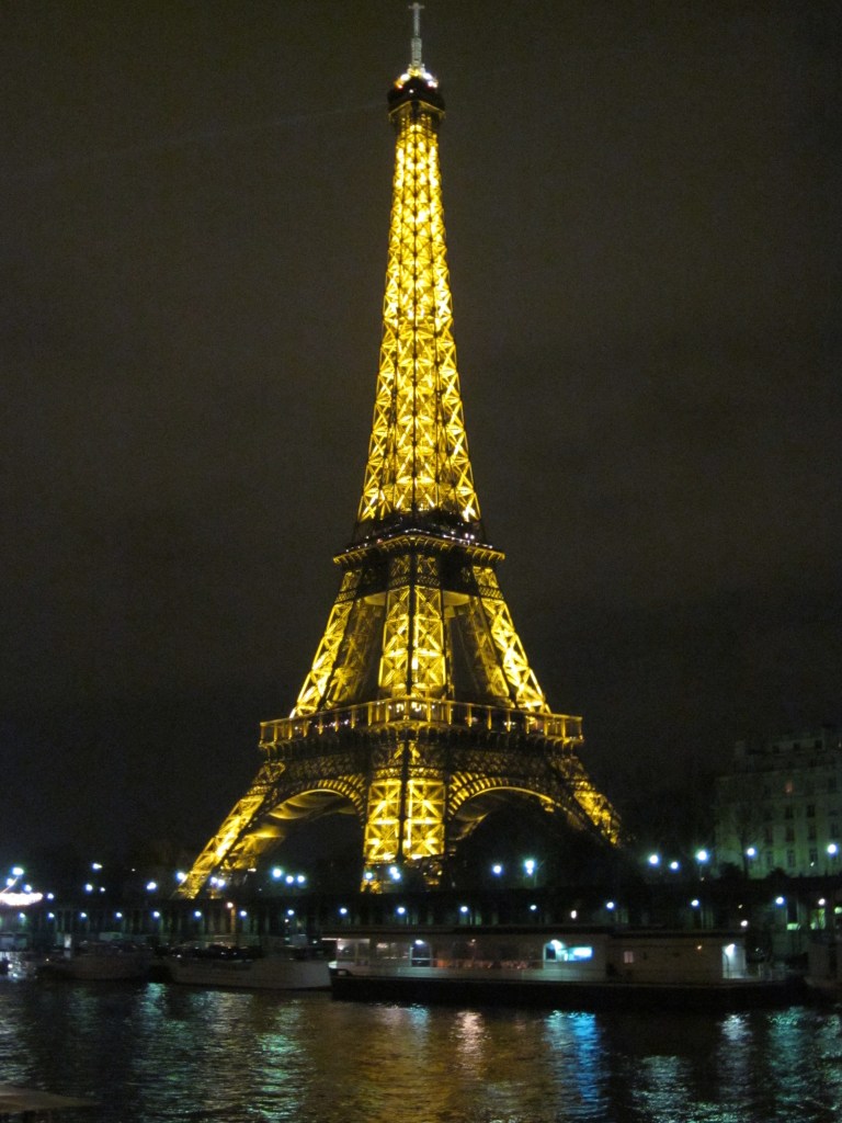IMG_0154eiffel_tower_5.jpg