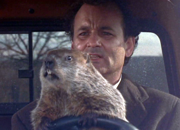 groundhogday