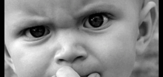 photo: news-ninja.com