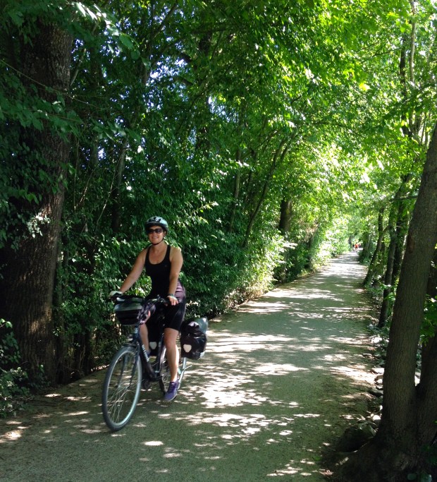 Angers—Montjean-sur-Loire—Ancenis